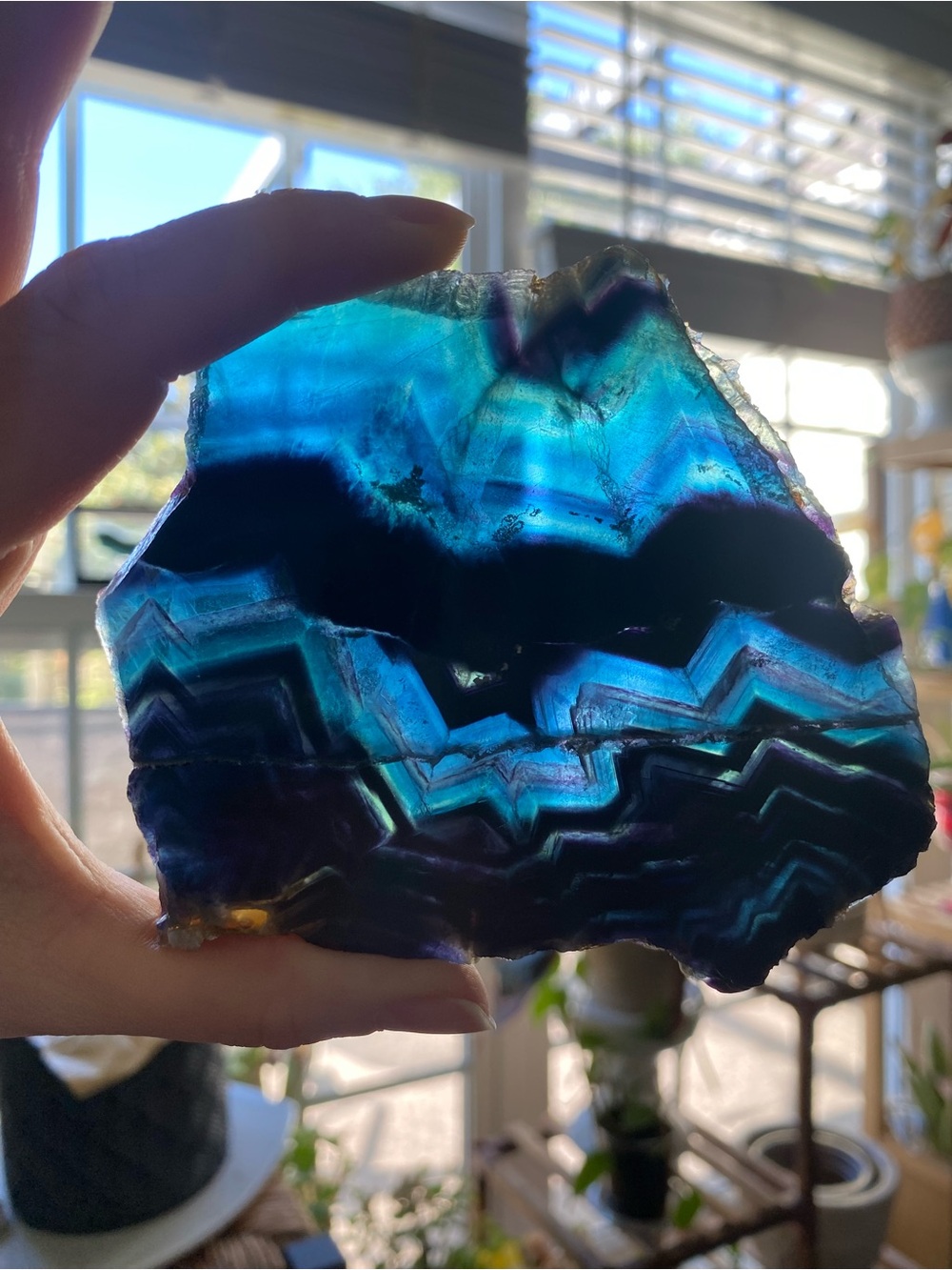 🌹 Midnight Bloom Black Rose Fluorite Slab with Silver Display Stand 🌹